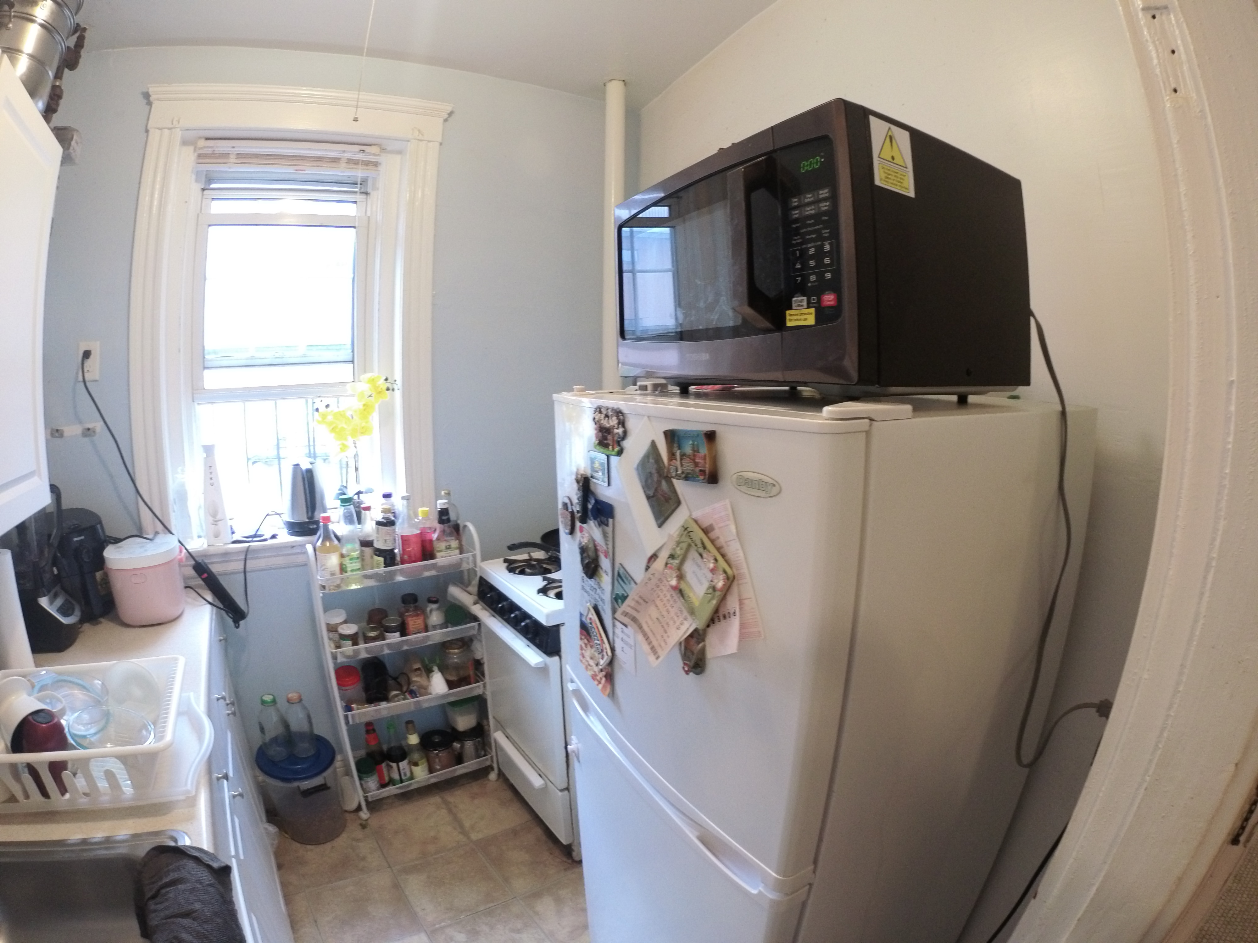 1450 Commonwealth Ave, Allston