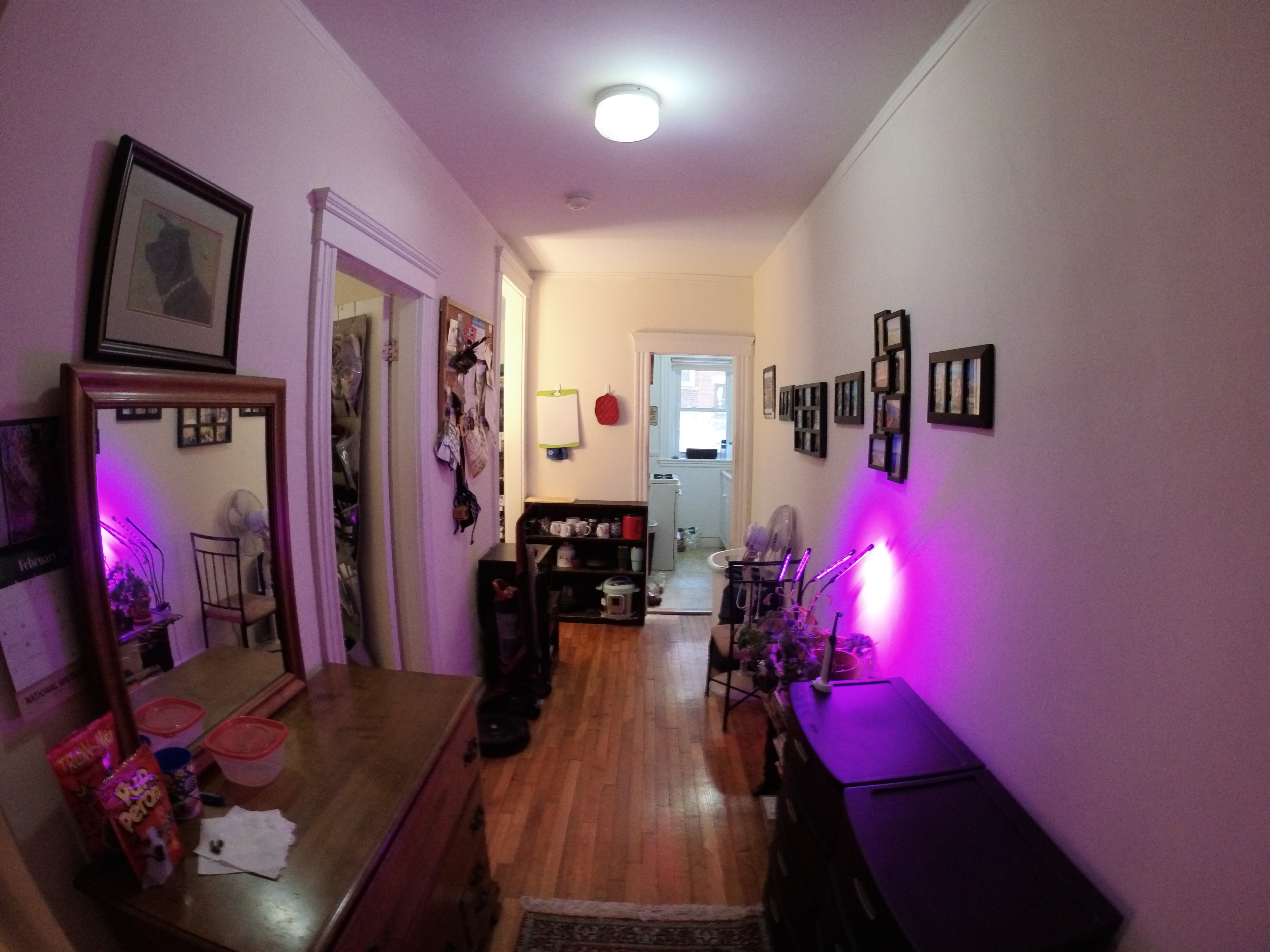 1454 Commonwealth Ave, Brighton