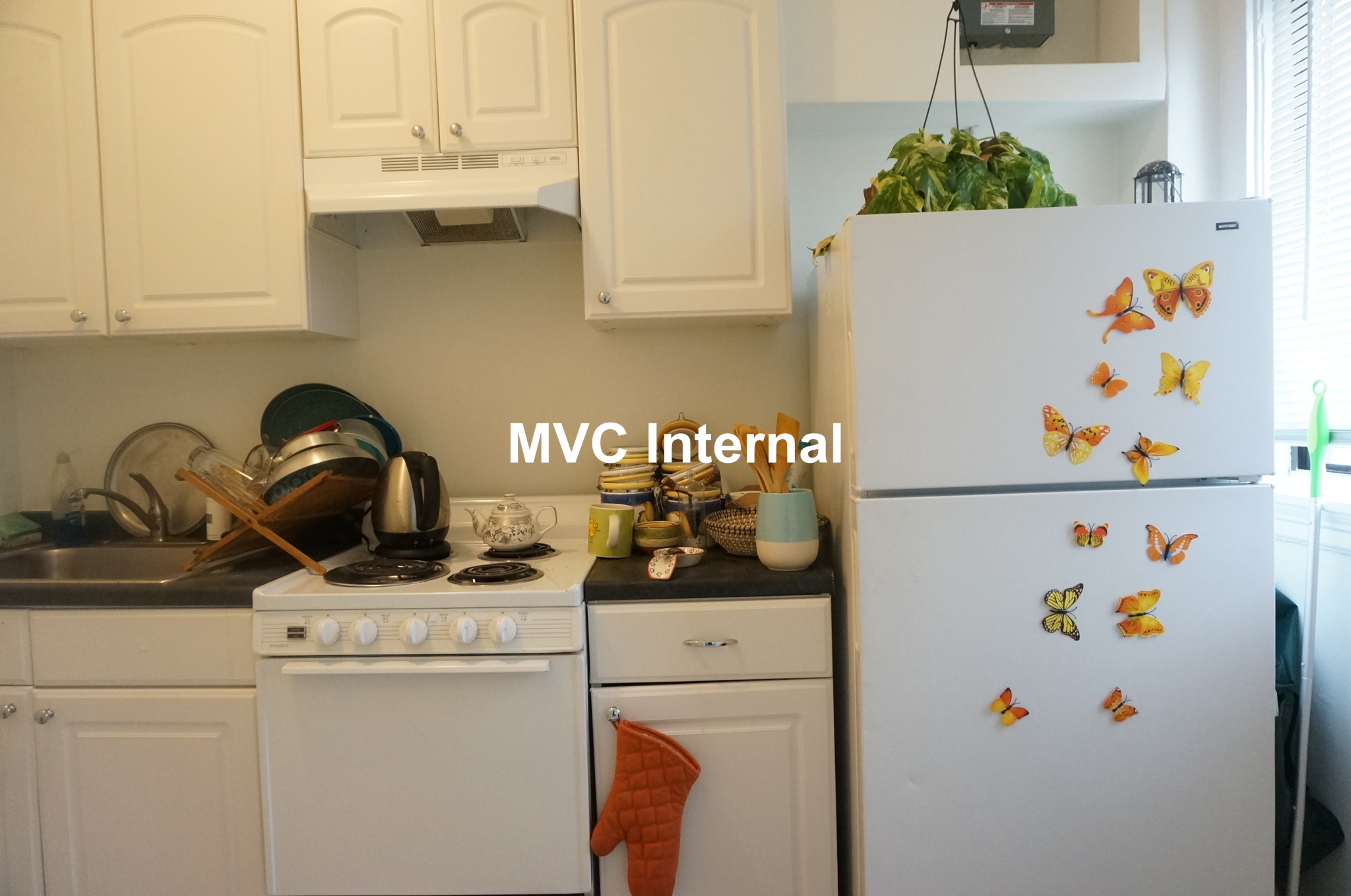 230 Walnut St, Newtonville