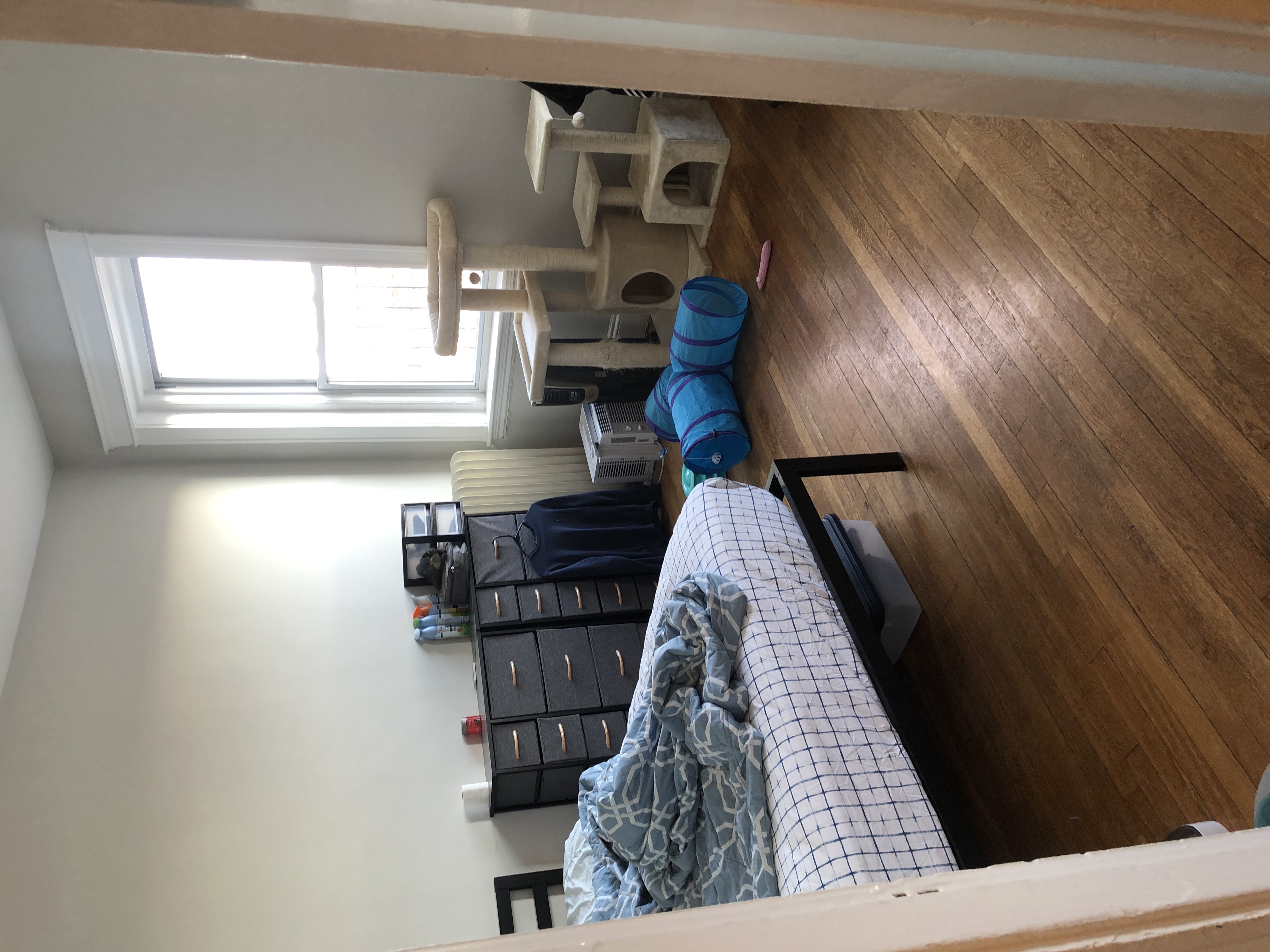 1181 Commonwealth Ave, Allston