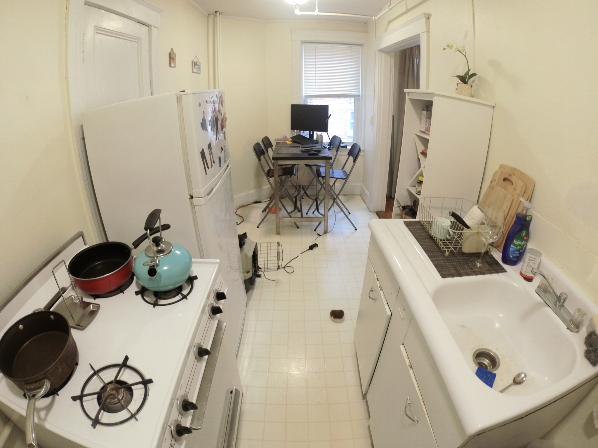 1450 Commonwealth Ave, Brighton