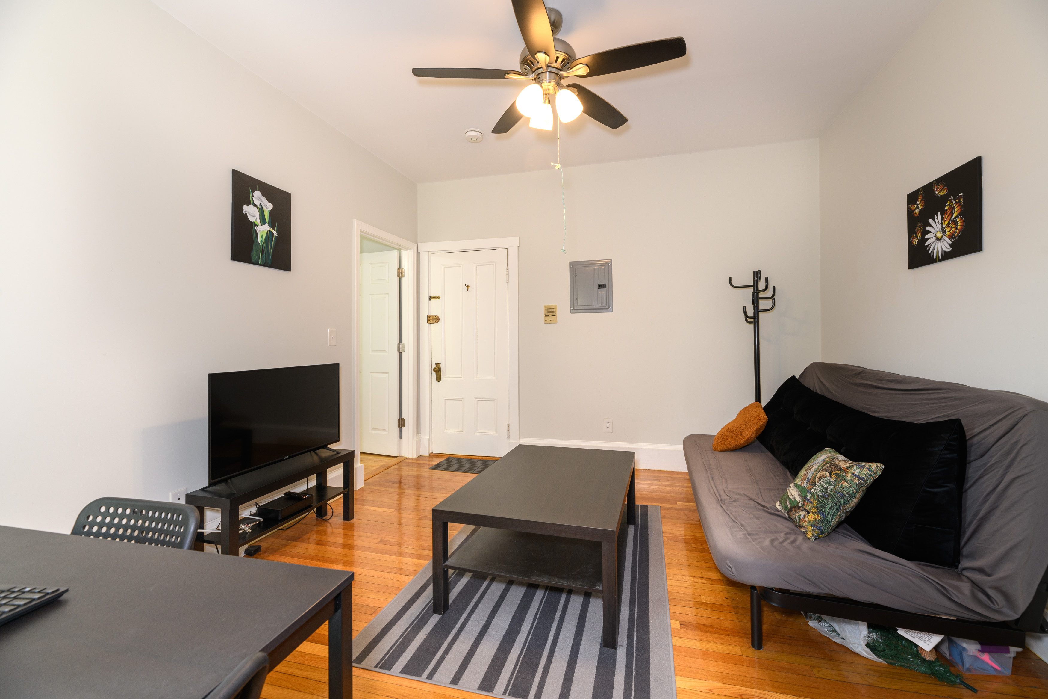 53 Laurel St, Spring Hill