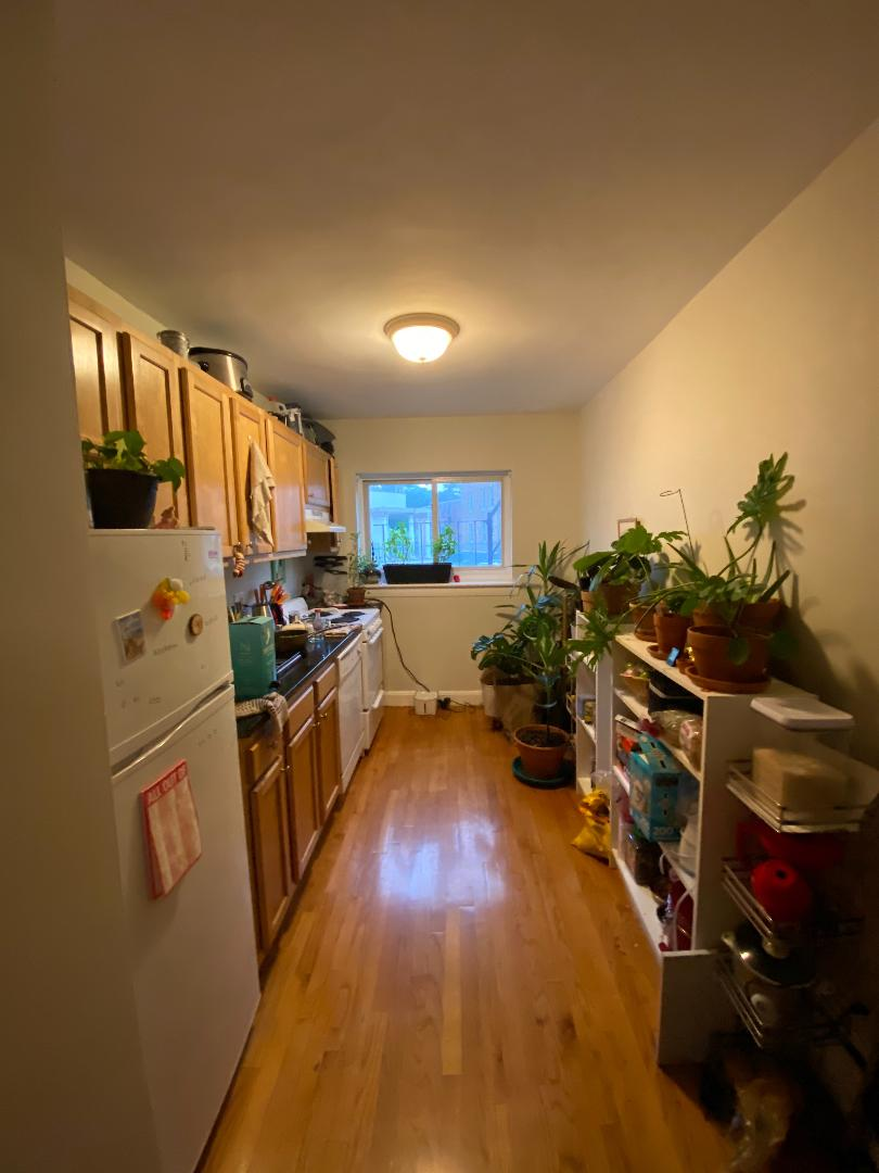 58 Selkirk Rd, Brighton