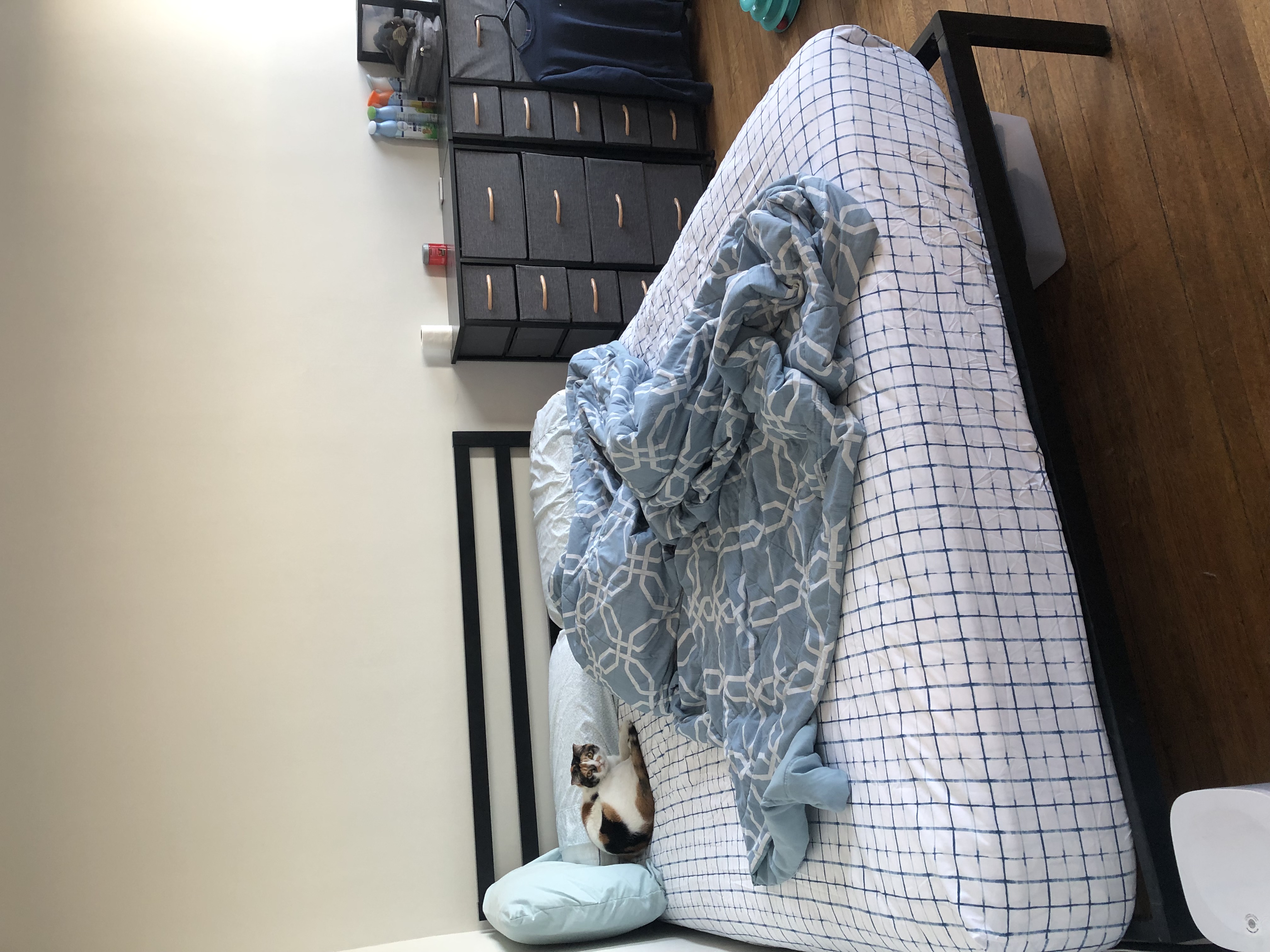 1181 Commonwealth Ave, Allston