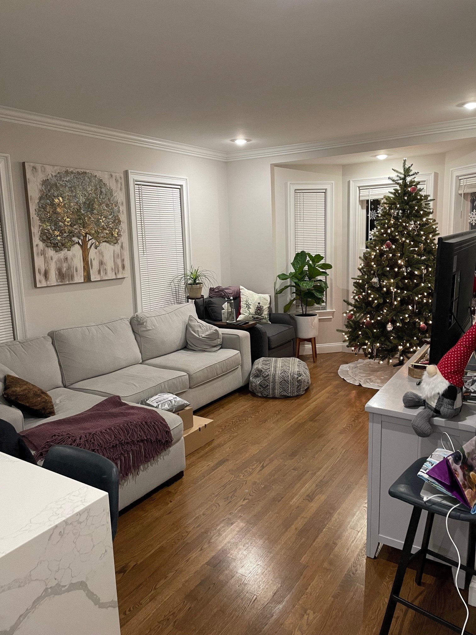 38 Dustin St, Brighton