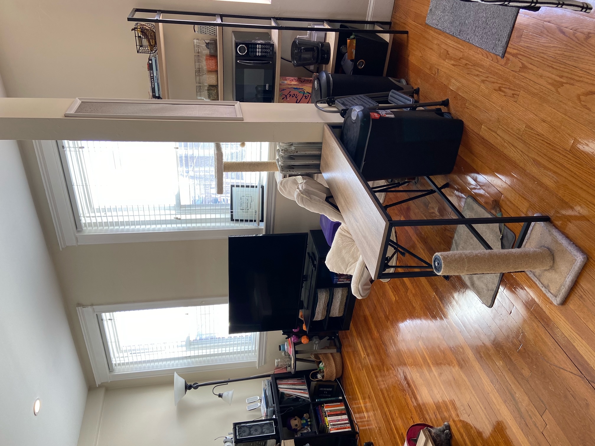 1194 Commonwealth Ave, Allston