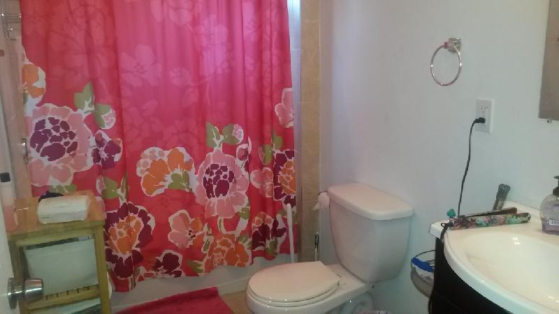 93 Hillside St, Mission Hill