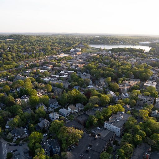 14 Mount Hood Rd, Brighton