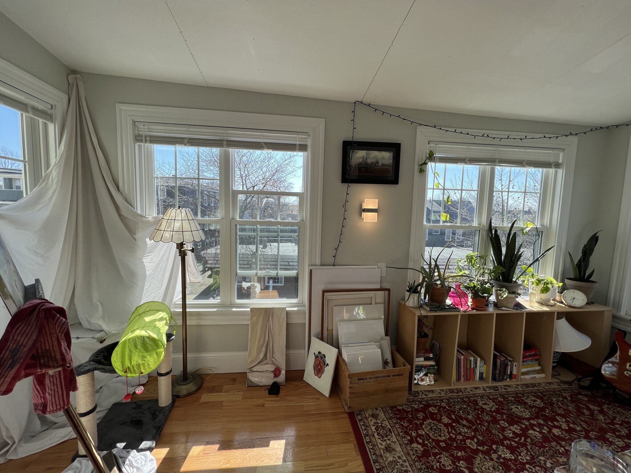 305 Highland St, Davis Square