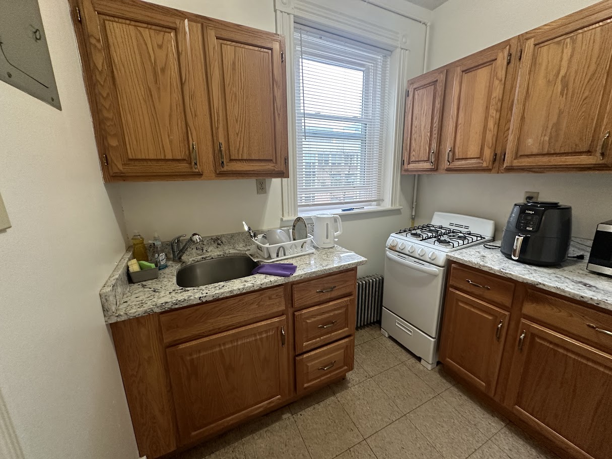 14 Palace Rd, Fenway