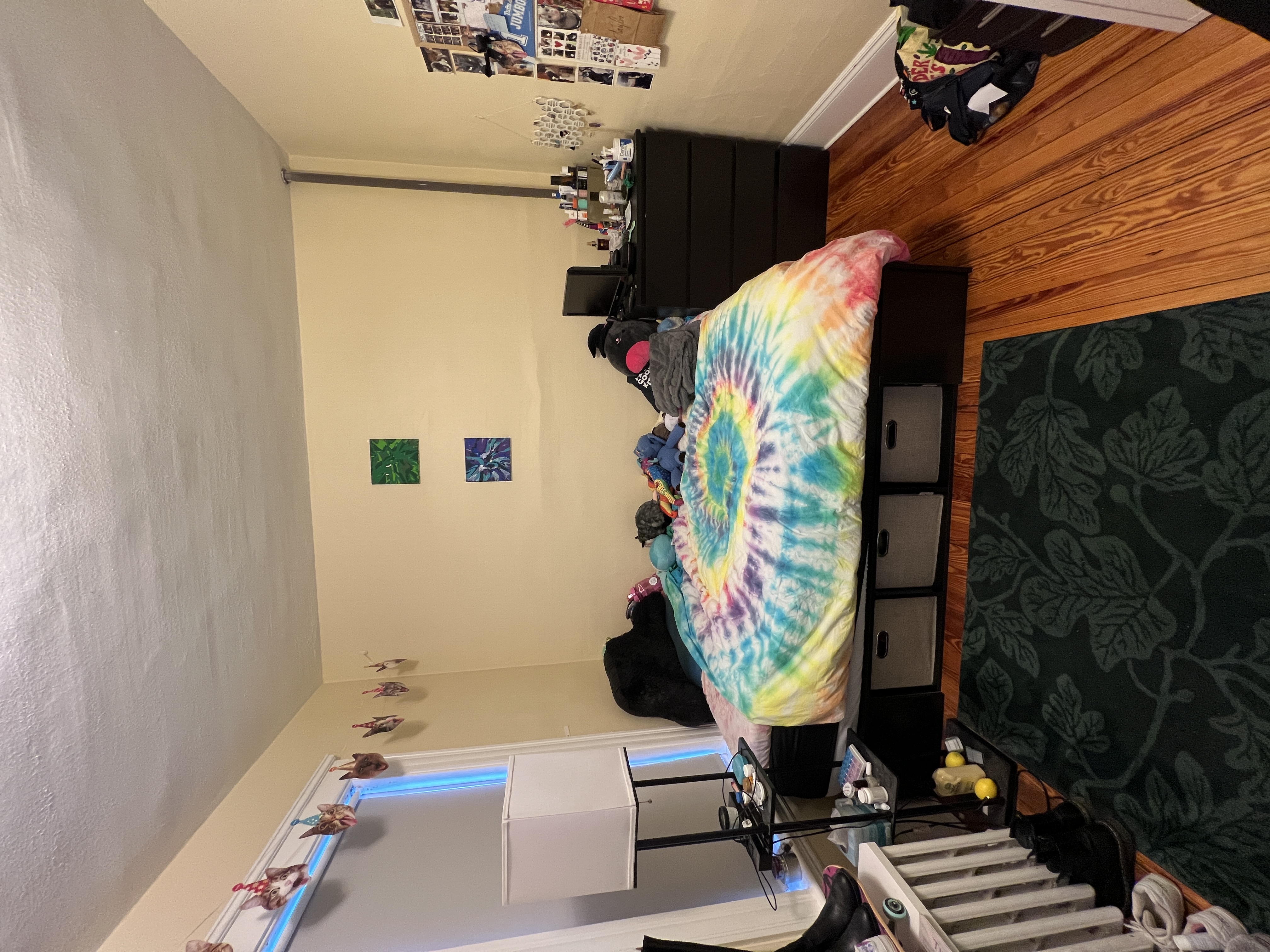 17 Dow St, Teele Square