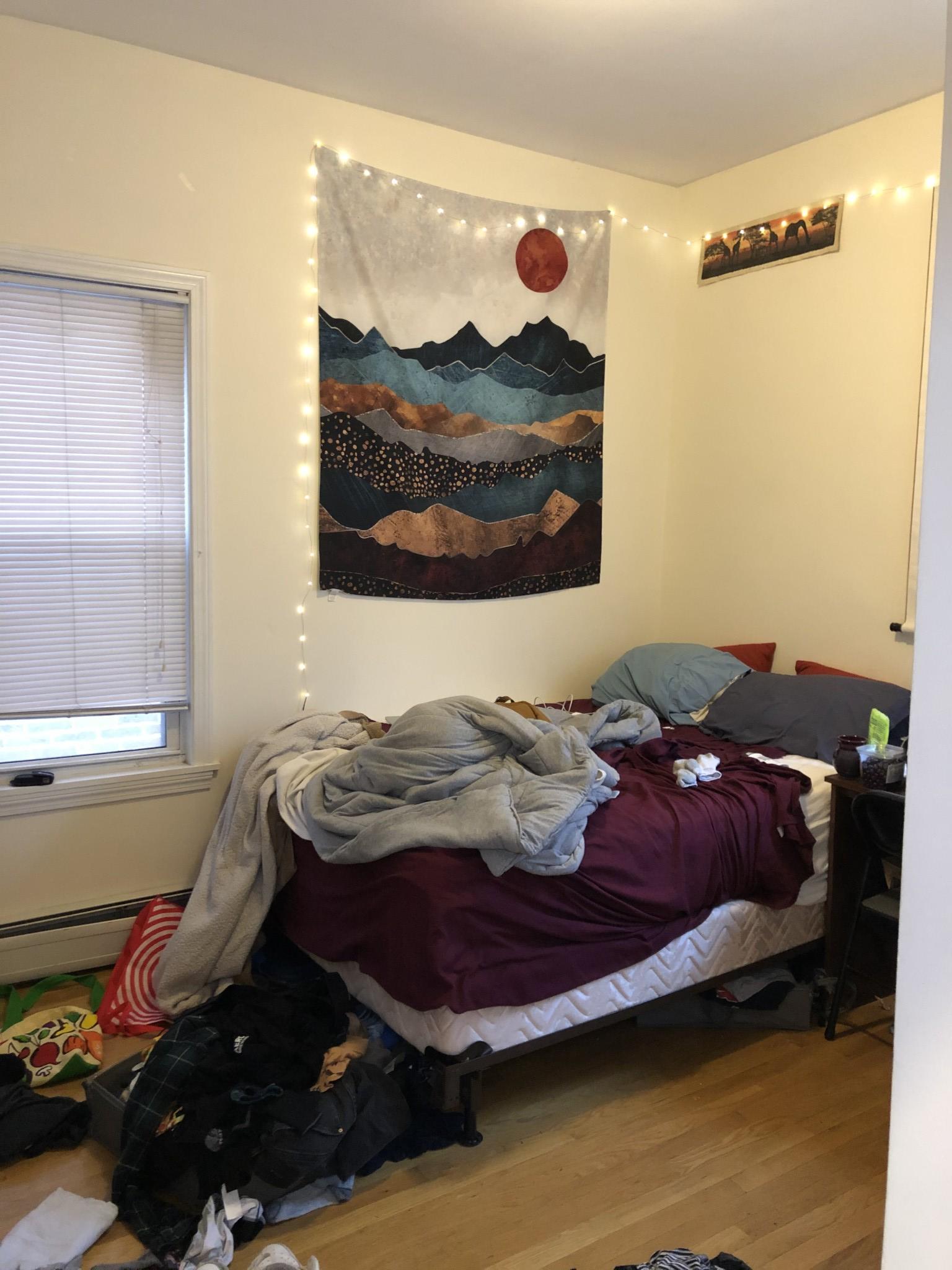 143 Hillside St, Mission Hill