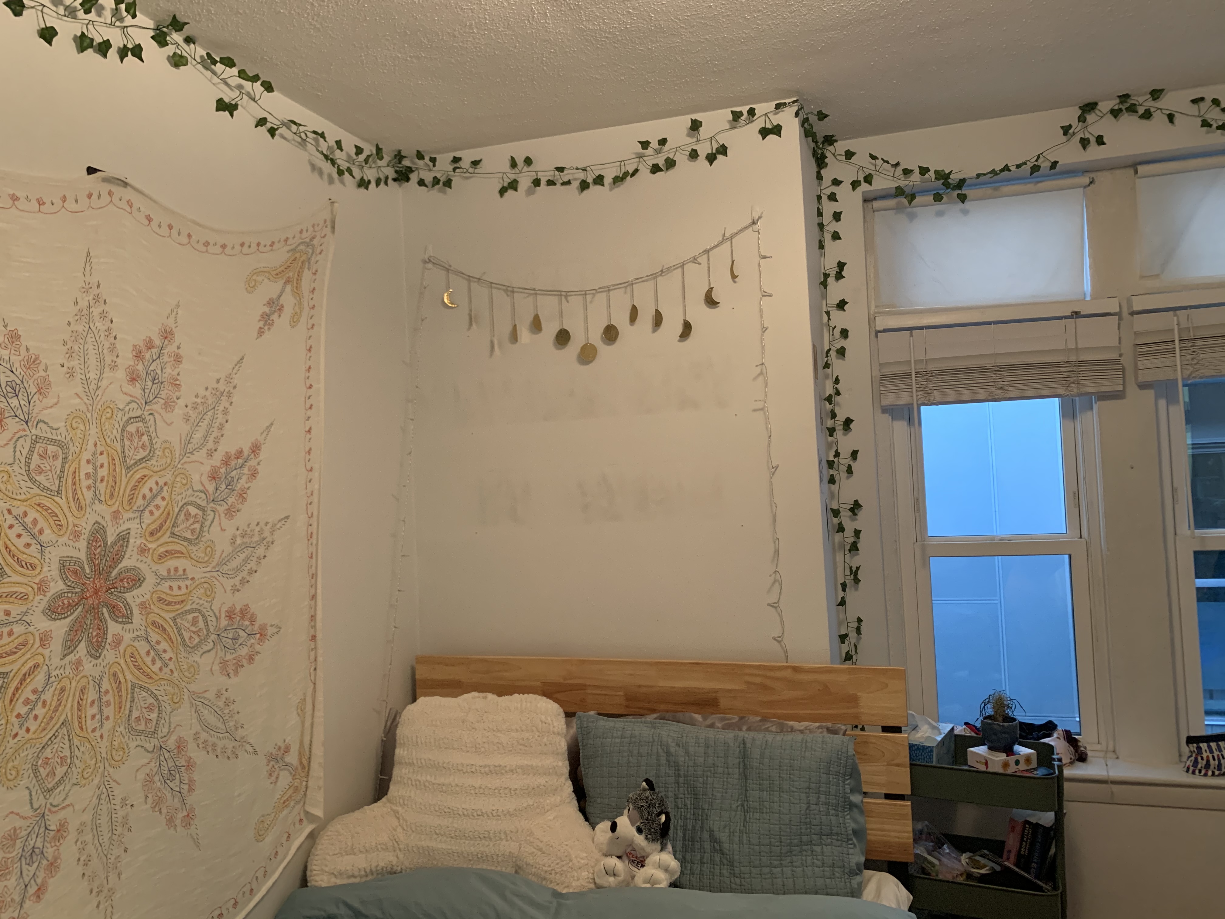 45 Westland Ave, Fenway