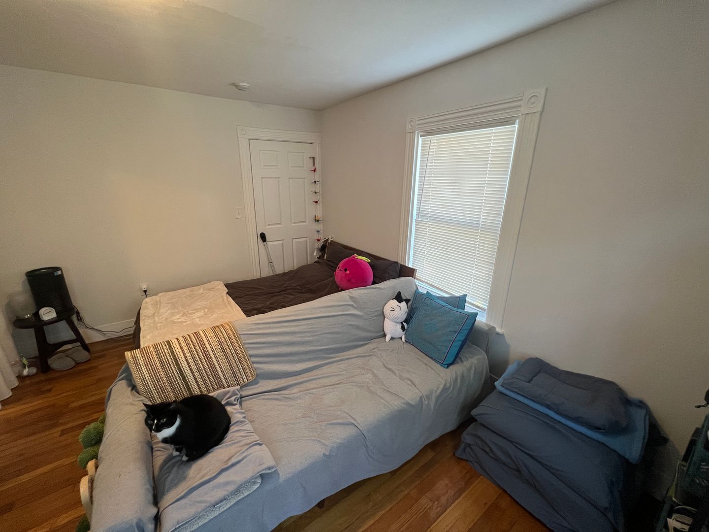 5 Blake St, North Cambridge