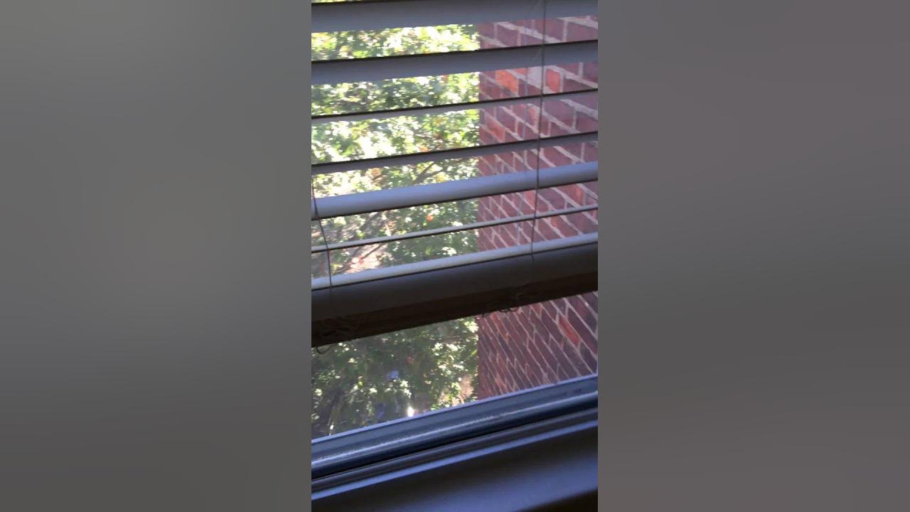 30 Leamington Rd, Brighton