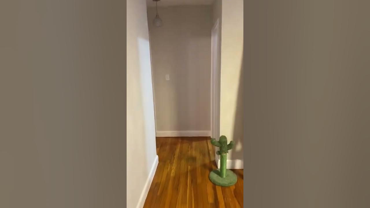 67 Chiswick Rd, Brighton