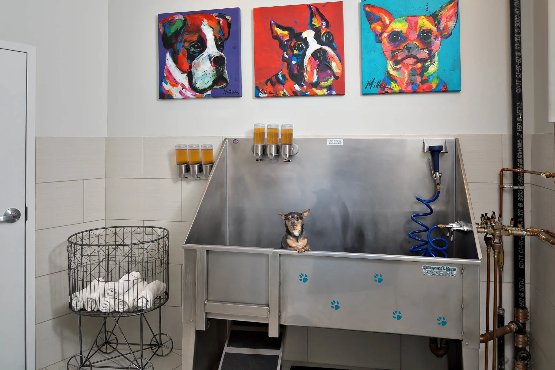 3611 Washington St, Jamaica Plain