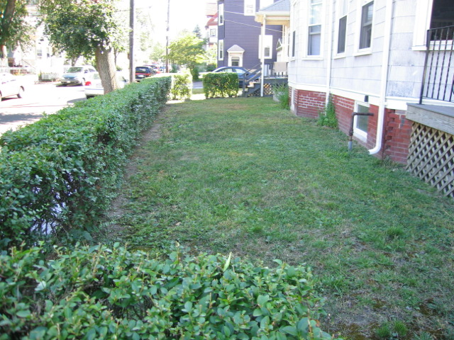 324 Highland Ave, Davis Square