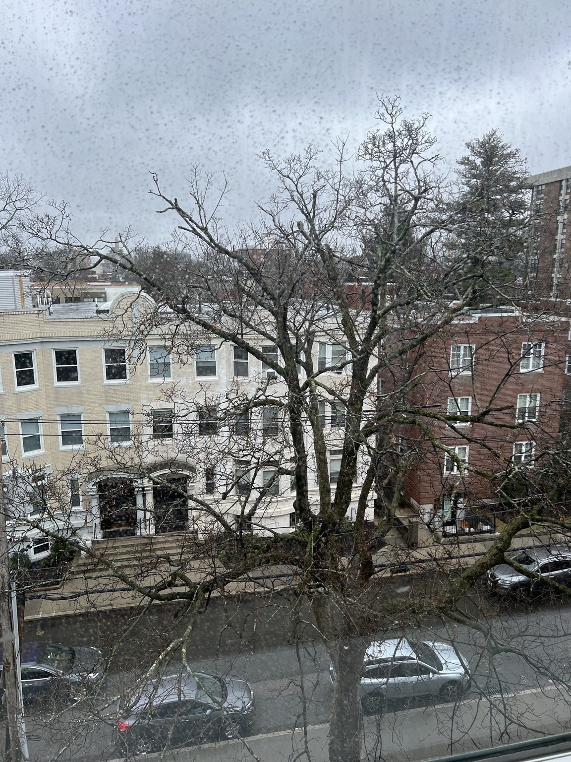 70 Park St, Griggs Park