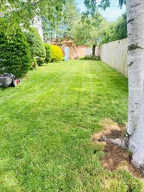 214 Billings St, North Quincy