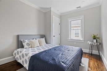 84 Sunnyside St, Hyde Park