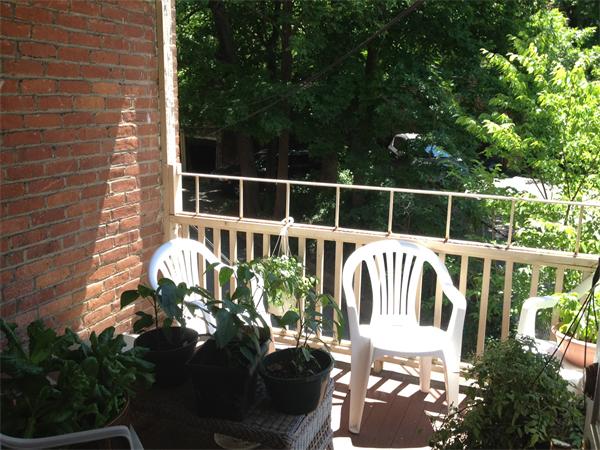 36 Addington Rd, Washington Square