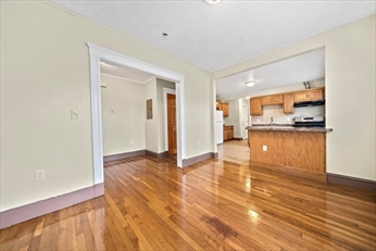 742 River St, Hyde Park