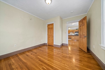 742 River St, Hyde Park