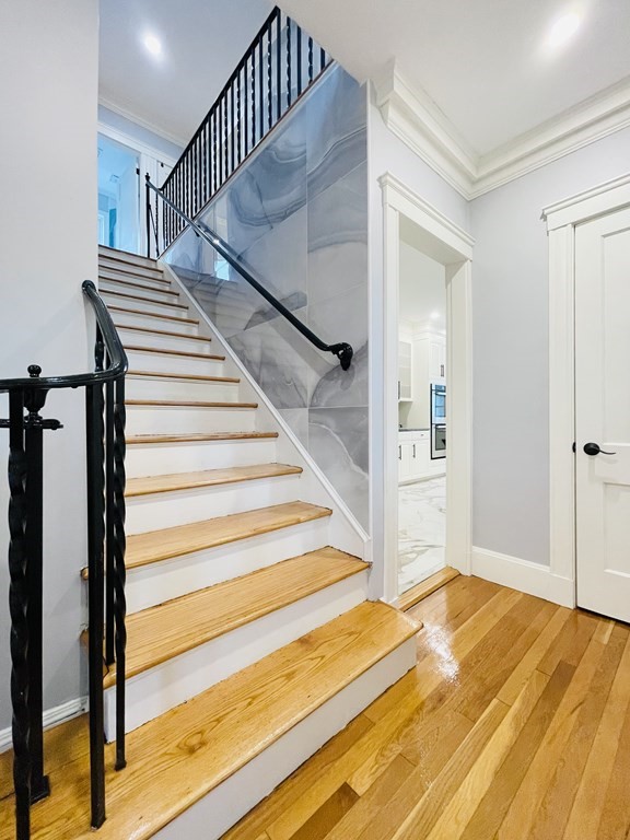 28 Wolcott Rd, Chestnut Hill