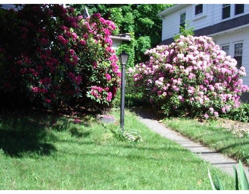 59 Surrey St, Brighton