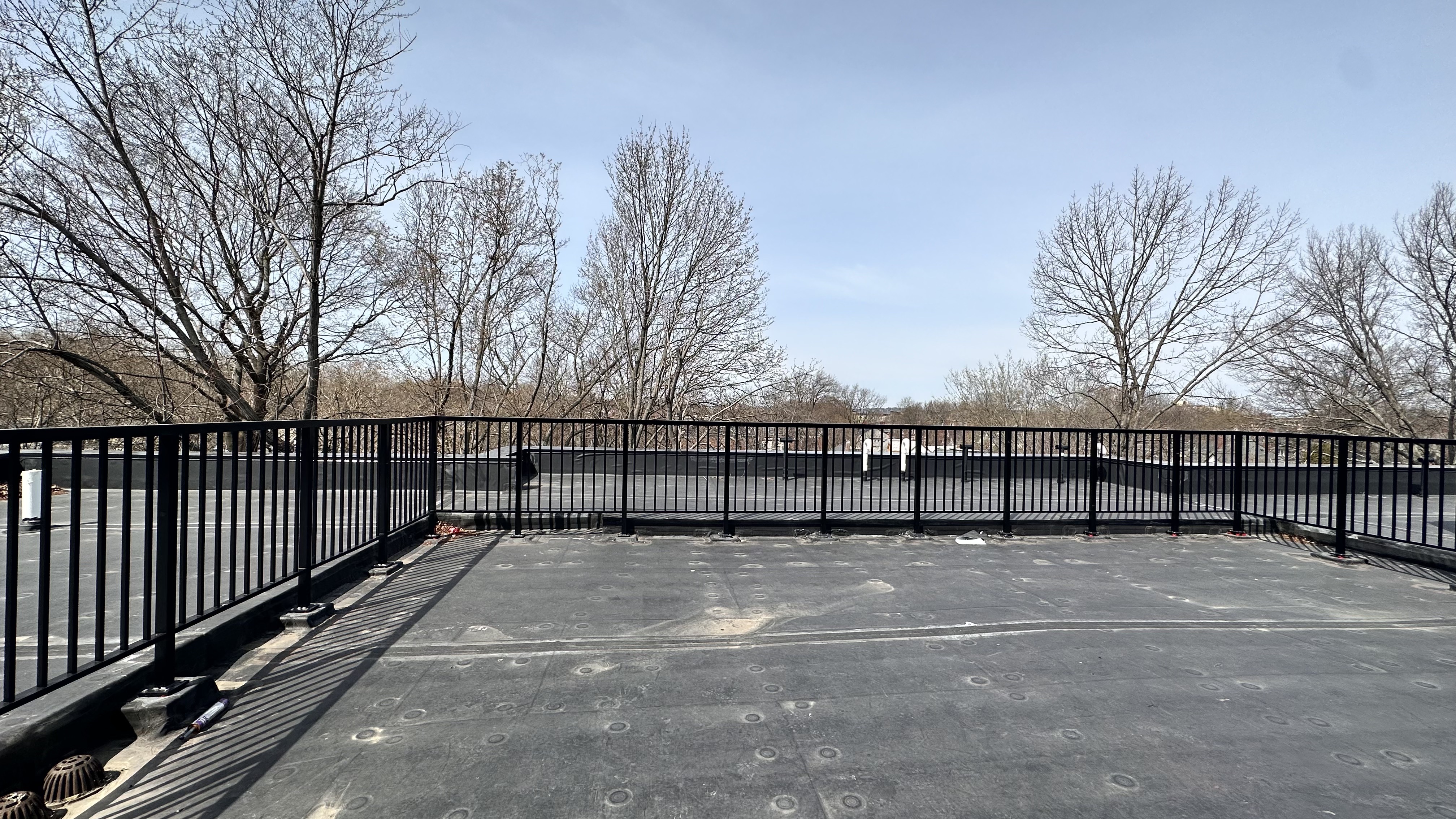 136 Babcock St, Coolidge Corner