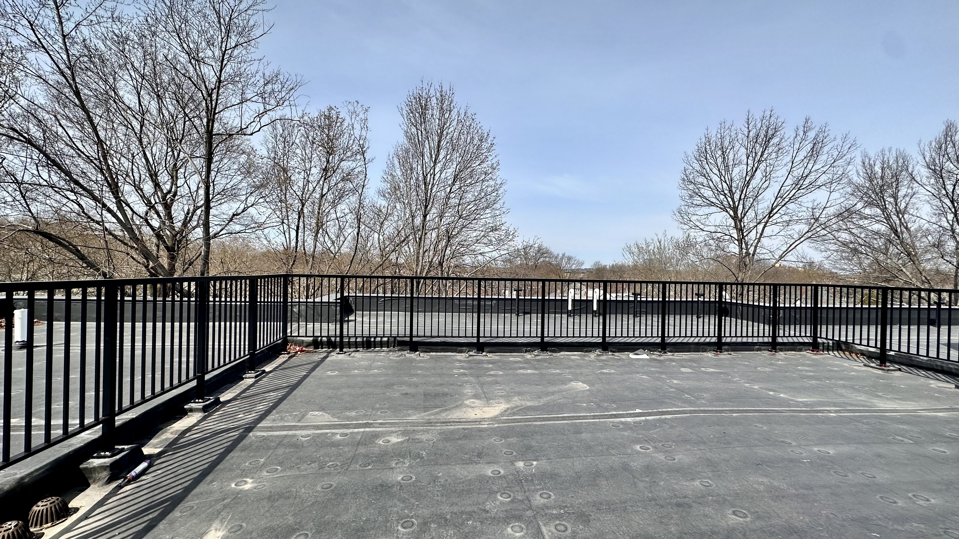 136 Babcock St, Coolidge Corner