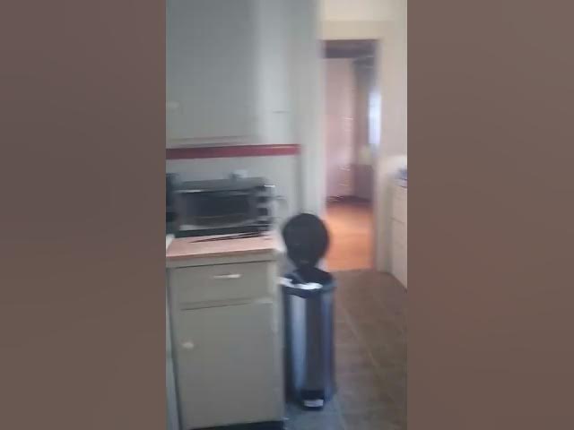 3 Dexter Ave, South Side