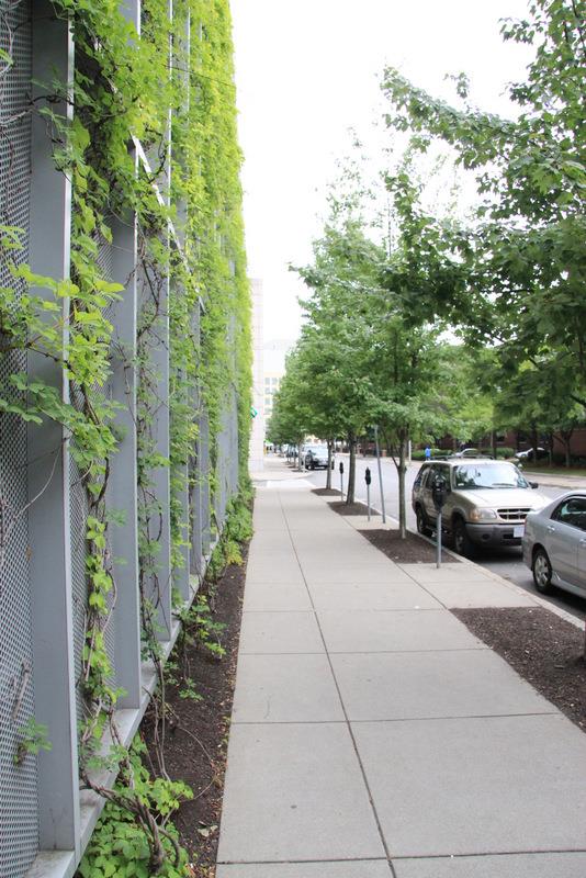 119 Harvard St, Kendall Square