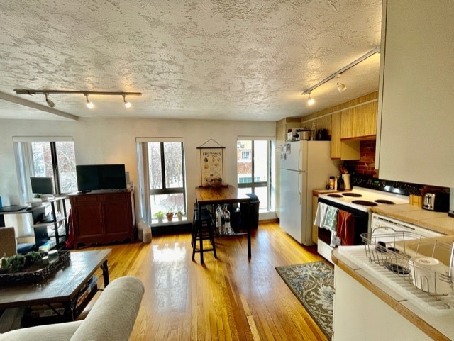 8 Harris St, North End