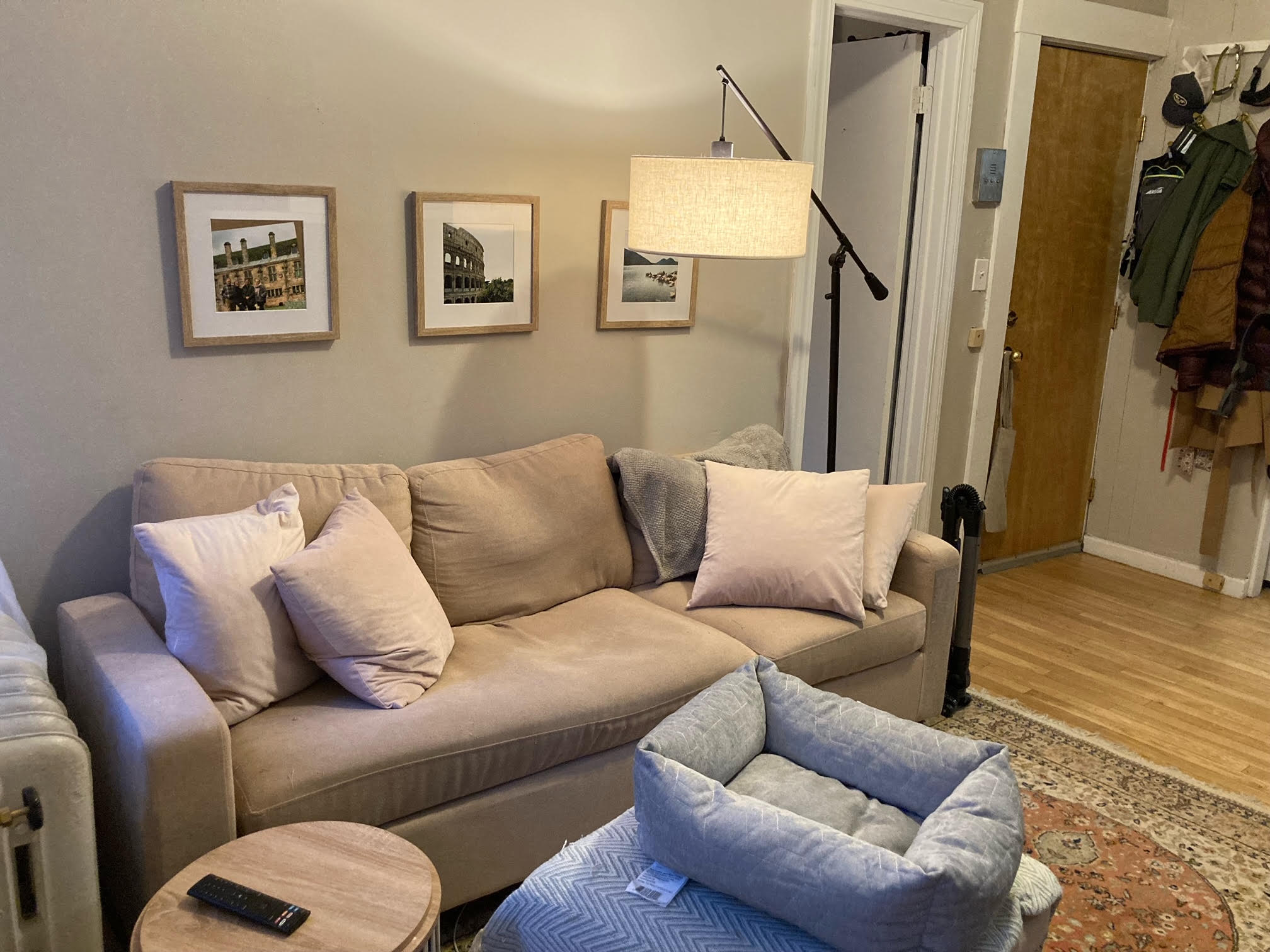 64 Myrtle St, Beacon Hill