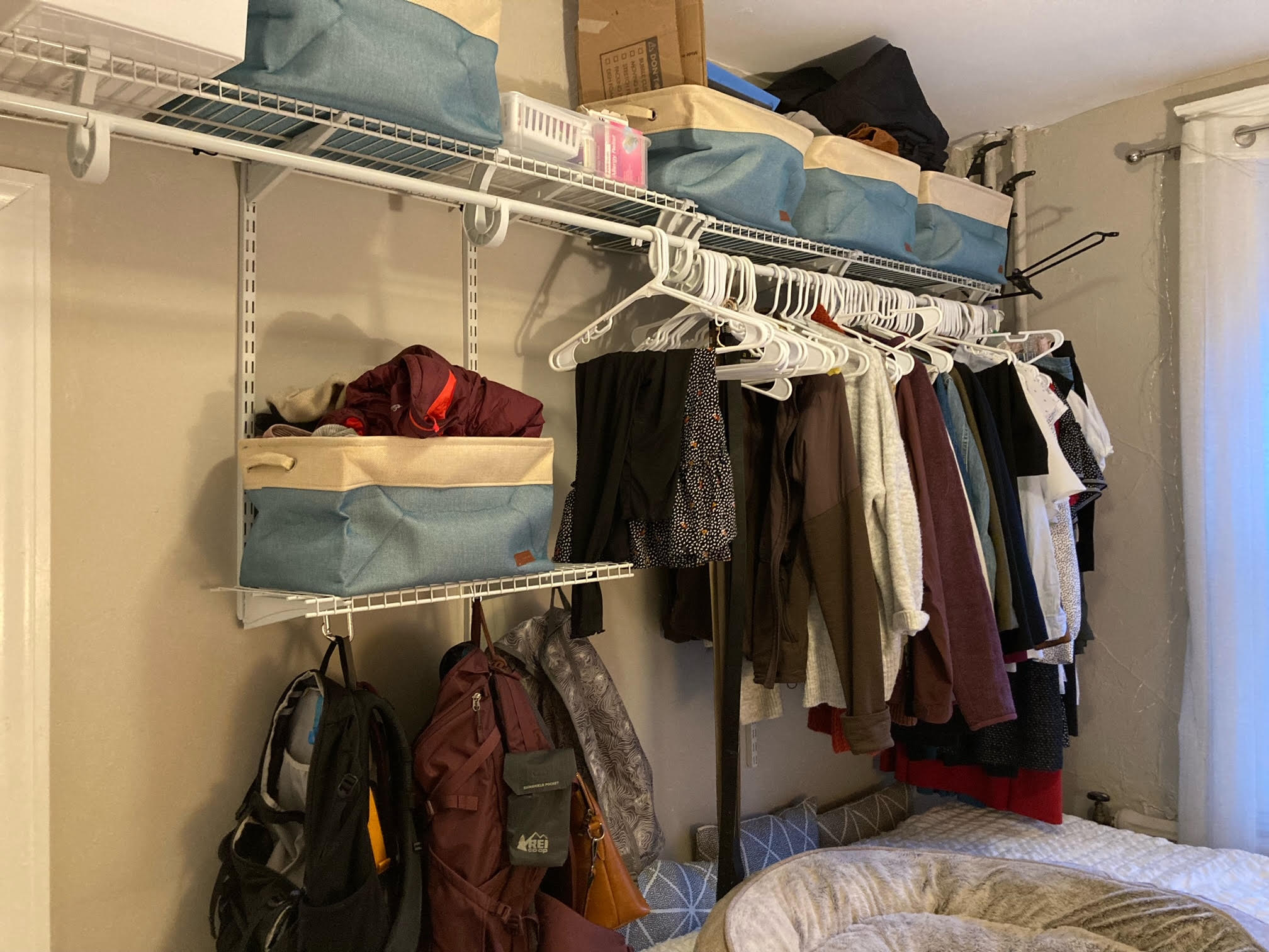 64 Myrtle St, Beacon Hill