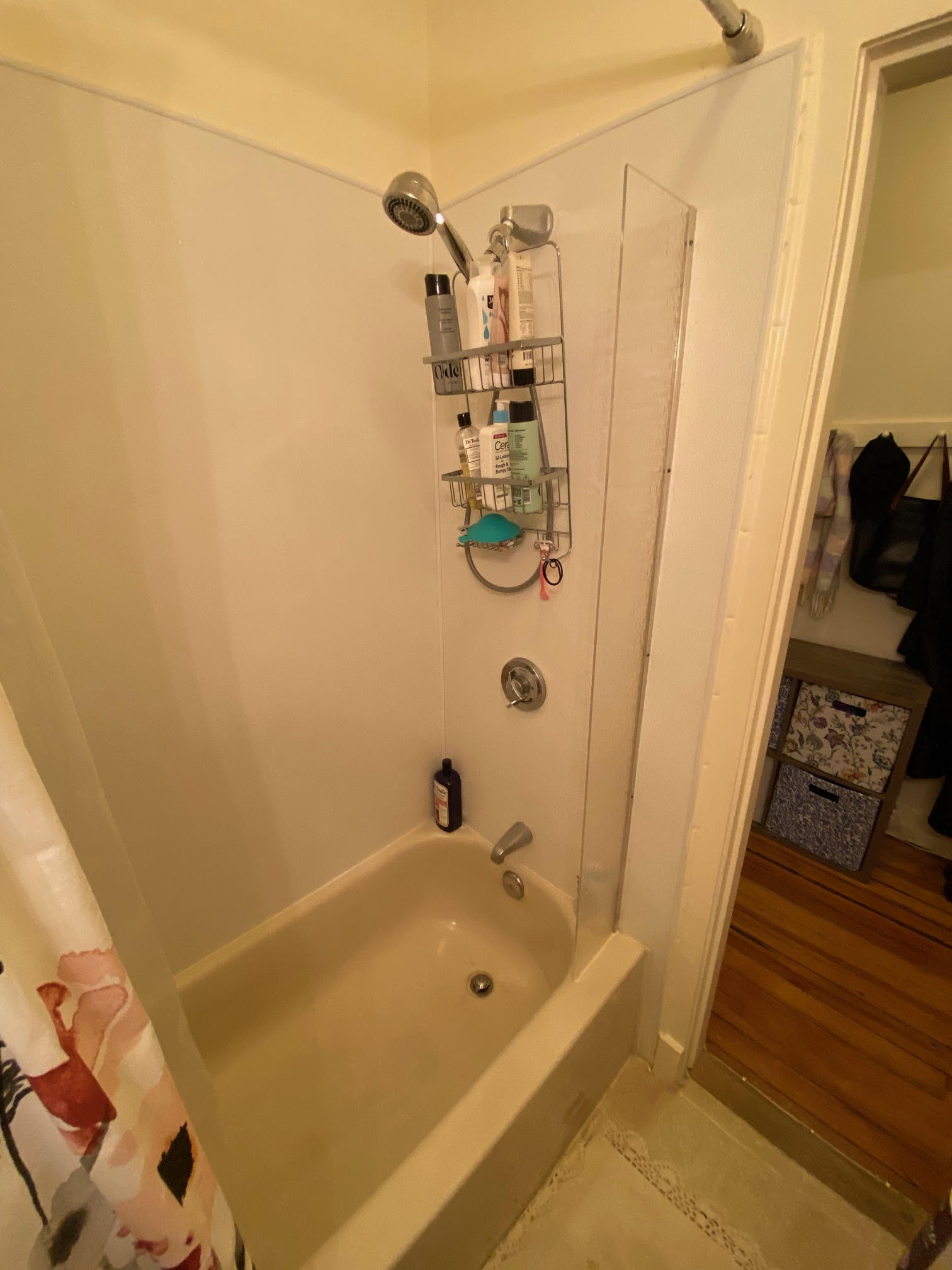 68 Myrtle St, Beacon Hill