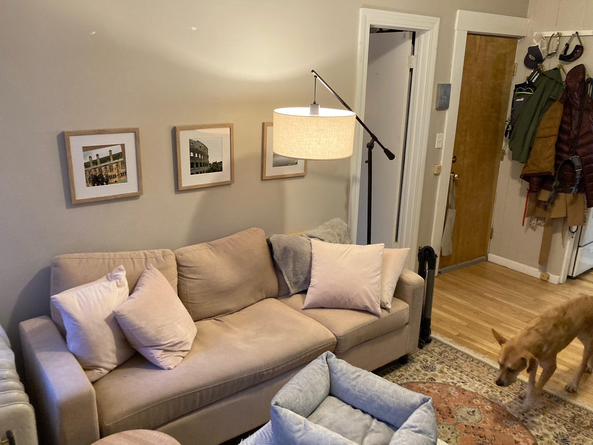 64 Myrtle St, Beacon Hill