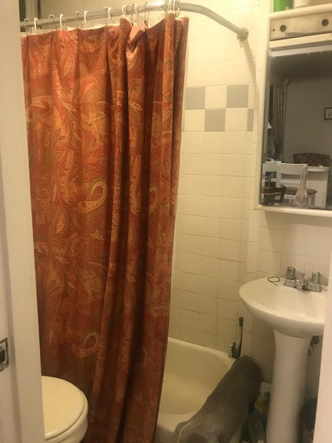 3 Phillips St, Beacon Hill