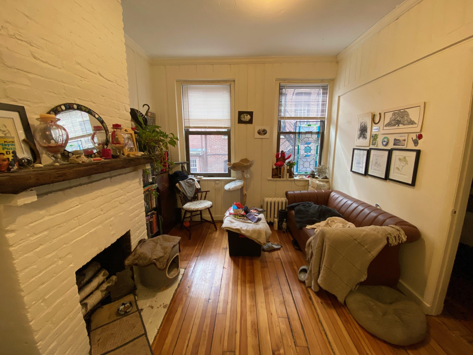 64 Myrtle St, Beacon Hill