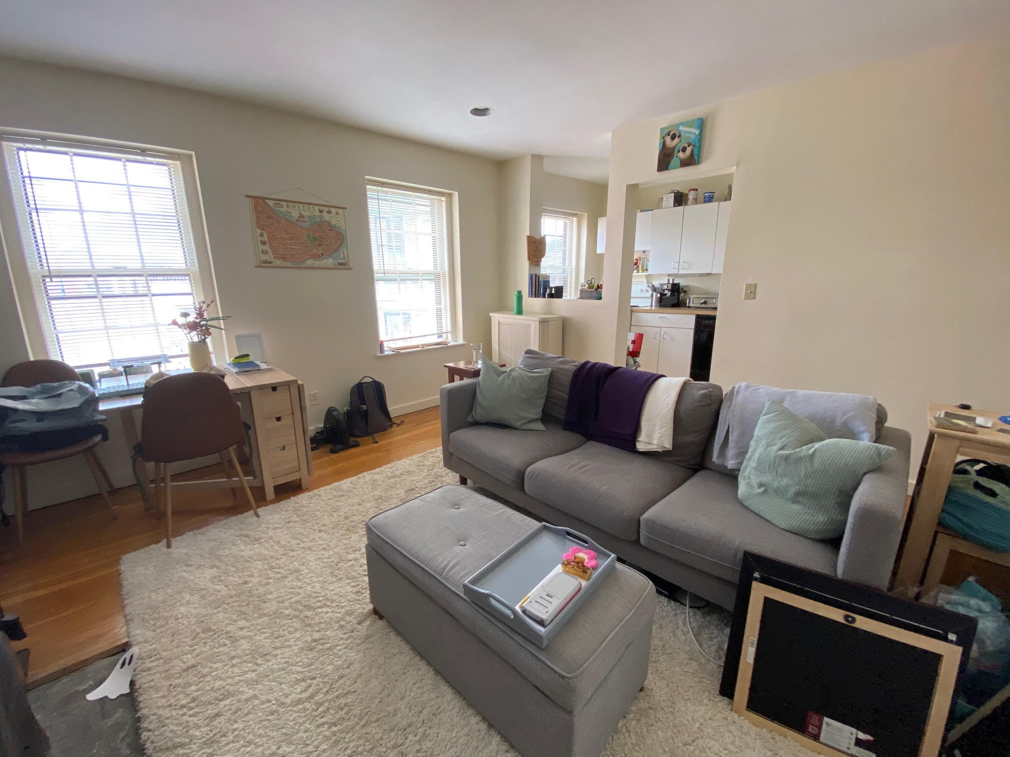 68 Myrtle St, Beacon Hill