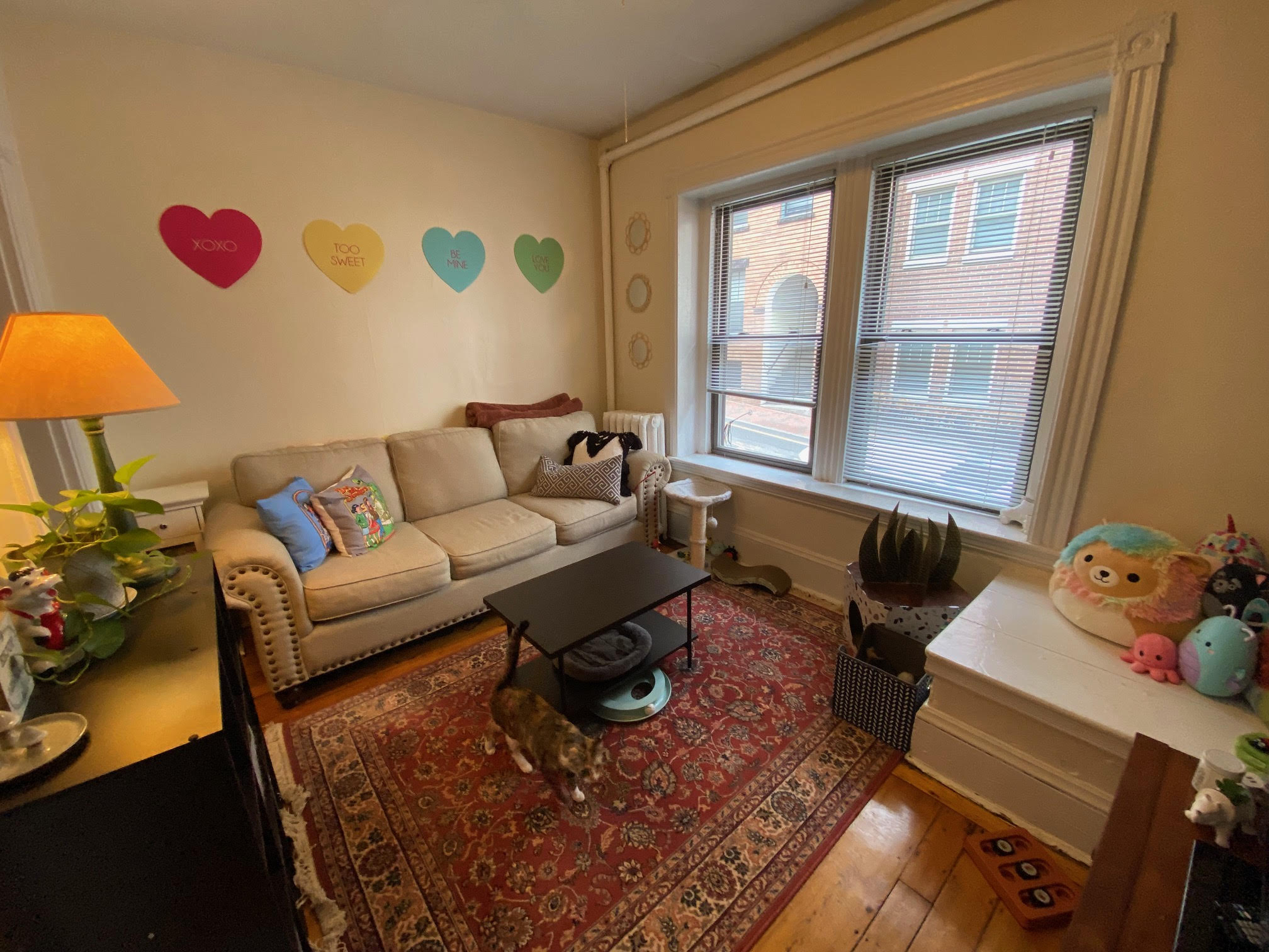 55 Joy St, Beacon Hill