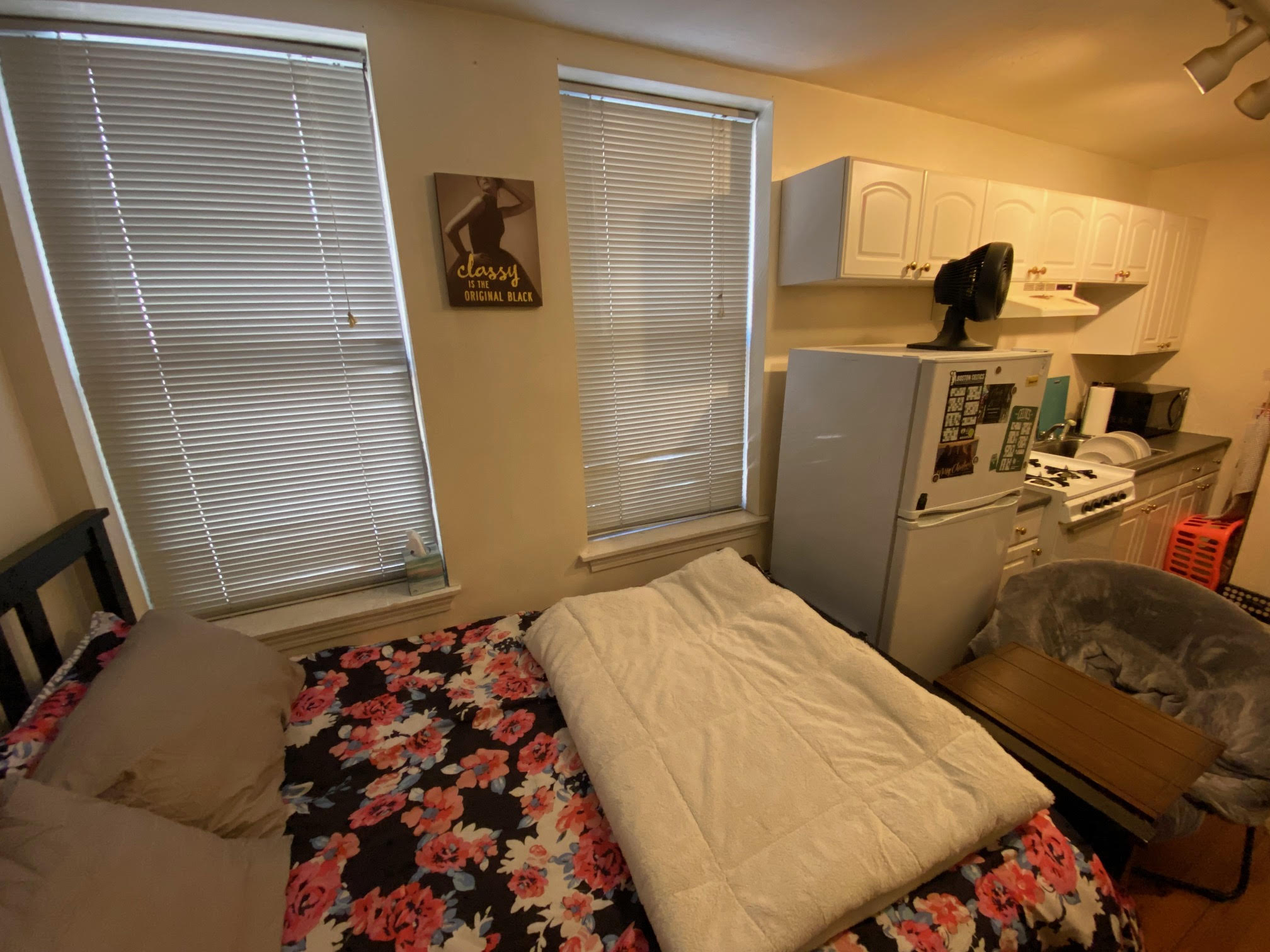 64 Myrtle St, Beacon Hill