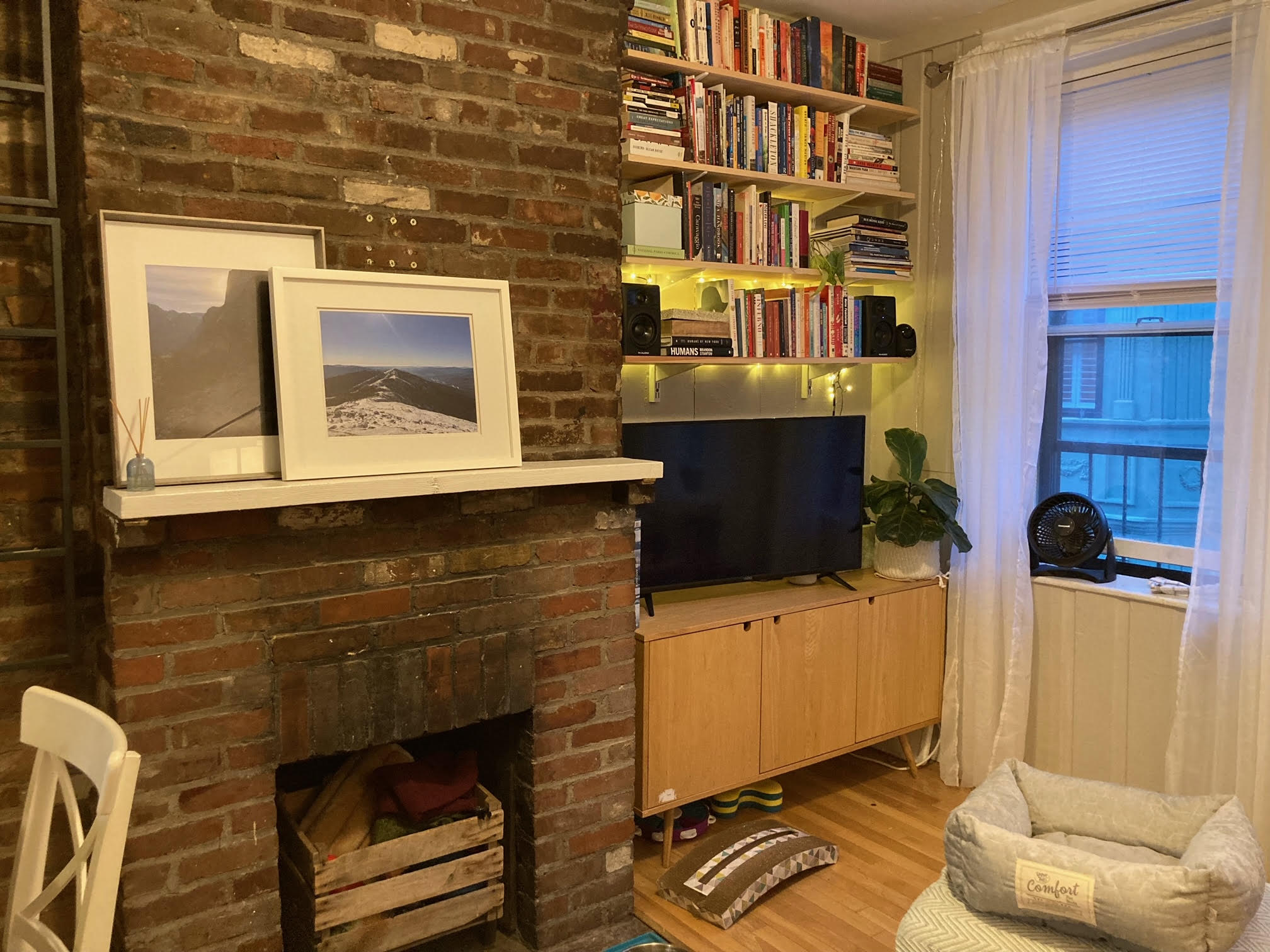 64 Myrtle St, Beacon Hill