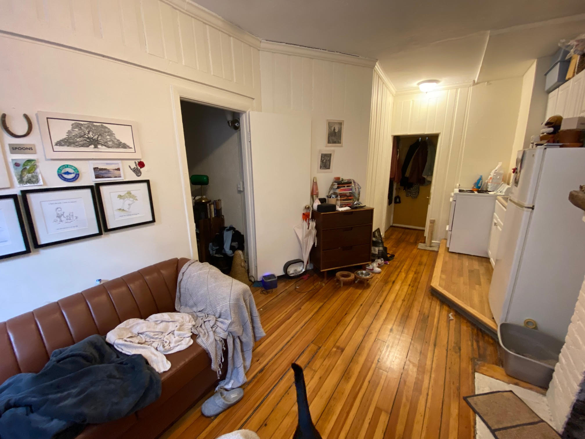 64 Myrtle St, Beacon Hill