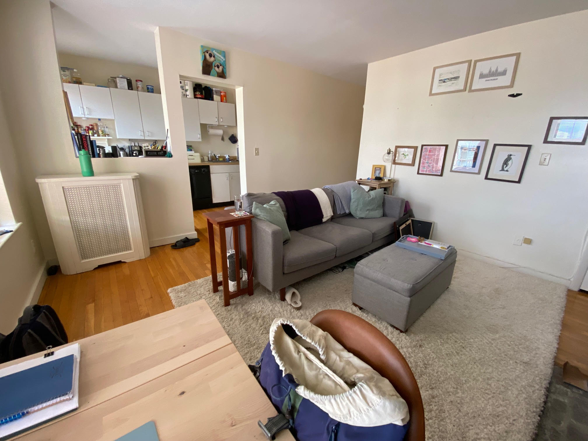 68 Myrtle St, Beacon Hill