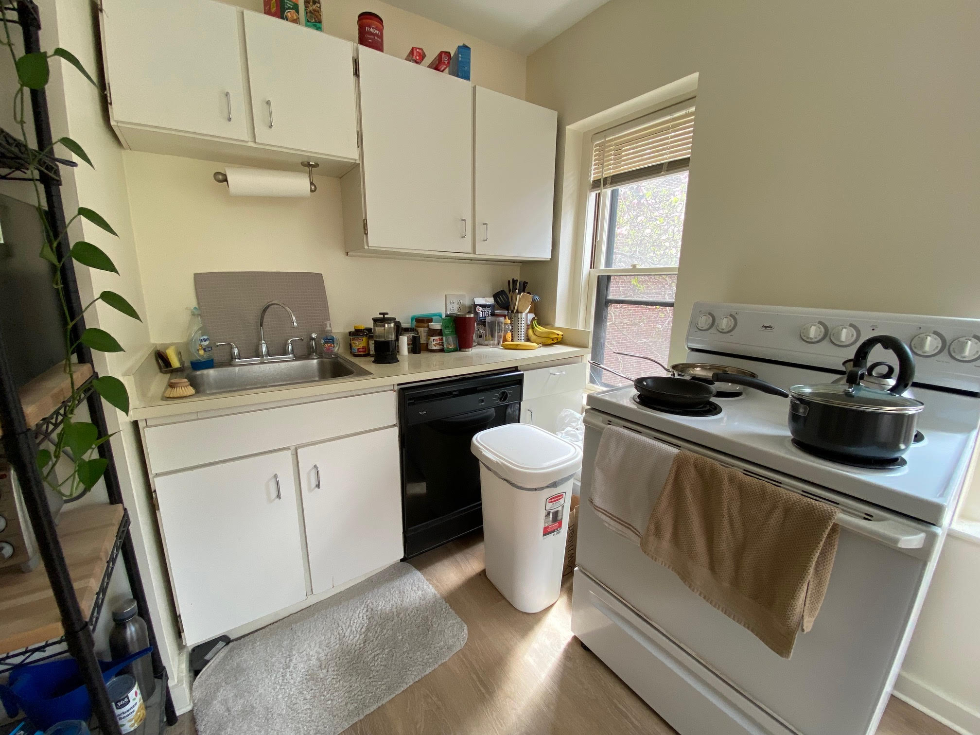 68 Myrtle St, Beacon Hill