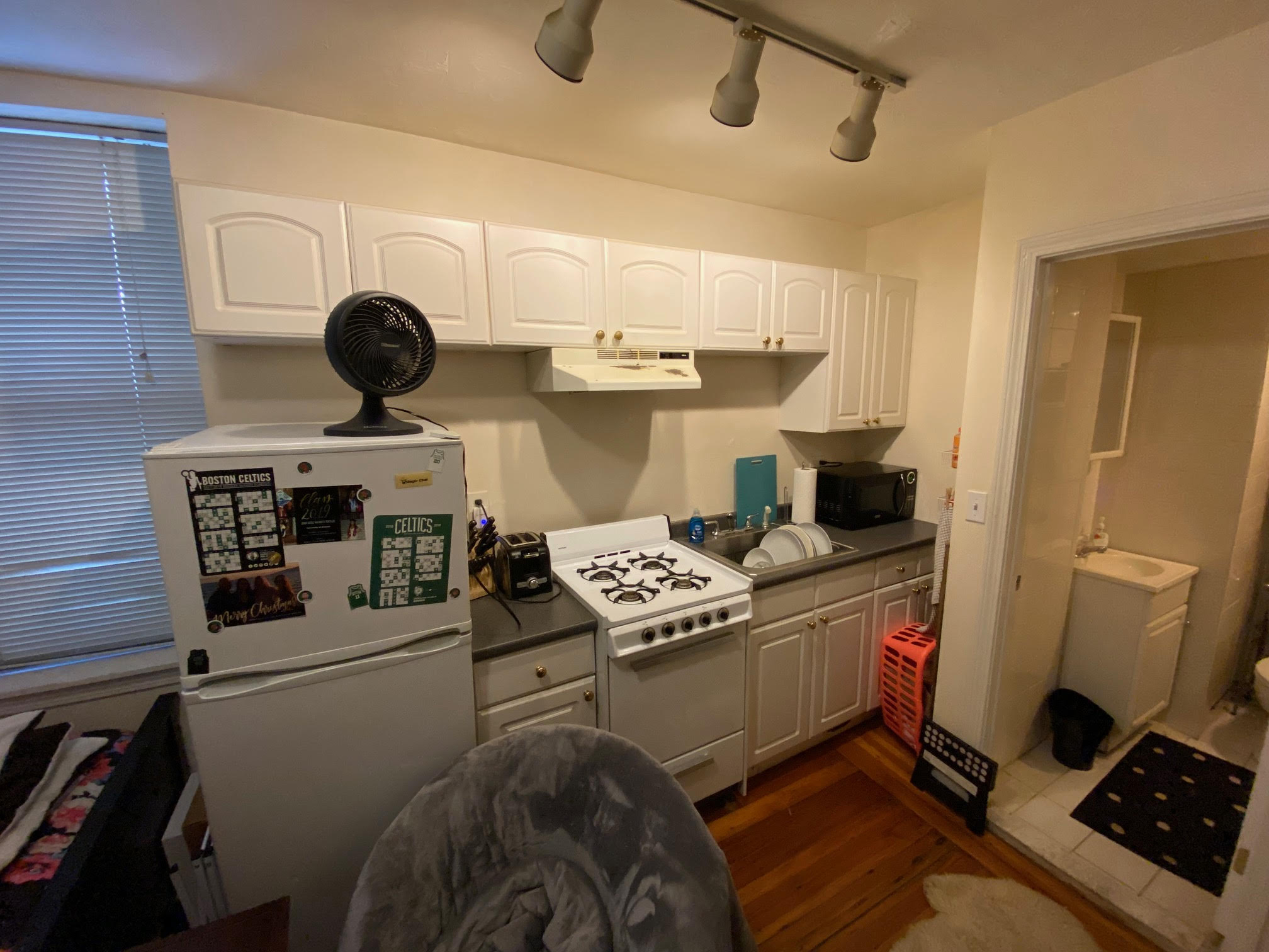 64 Myrtle St, Beacon Hill