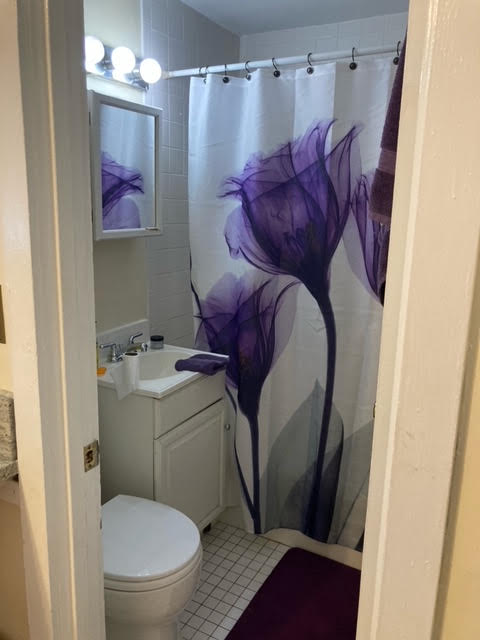 108 Myrtle St, Beacon Hill